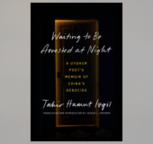 Book cover for Waiting to Be Arrested at Night against a gray background
