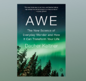 Against a green background, the book cover for Awe